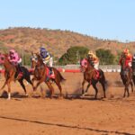 Planning for a Day Out at the Mount Isa Races