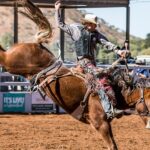 Prepping for the Mount Isa Rodeo