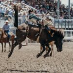 How to Plan for Your Trip to the Mount Isa Rodeo