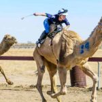 Where to Spot a Camel When Travelling Outback Queensland